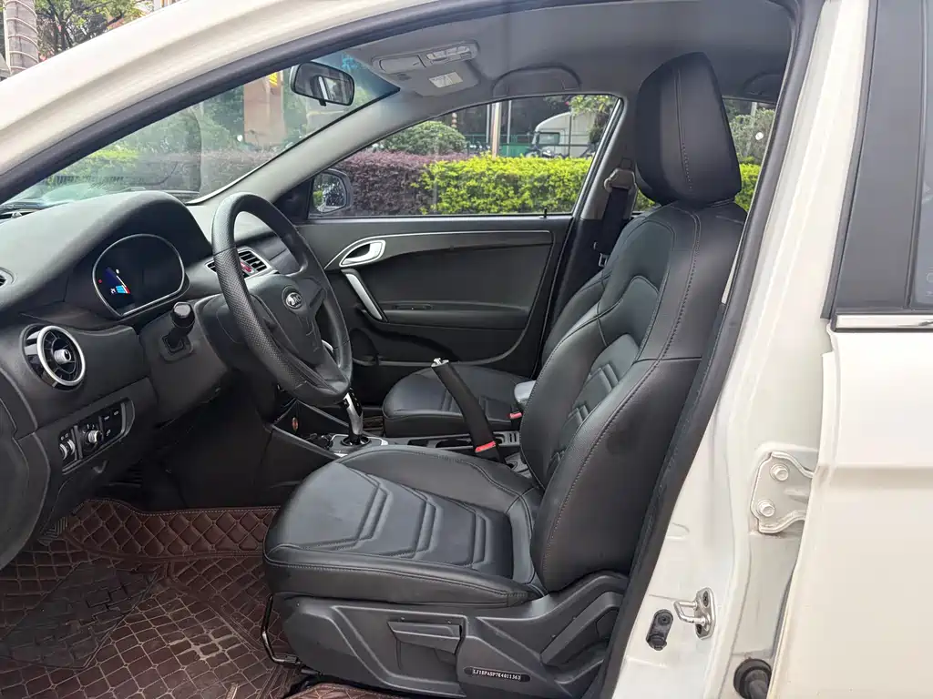 JAC JAC iEVA50 2019 Luxury