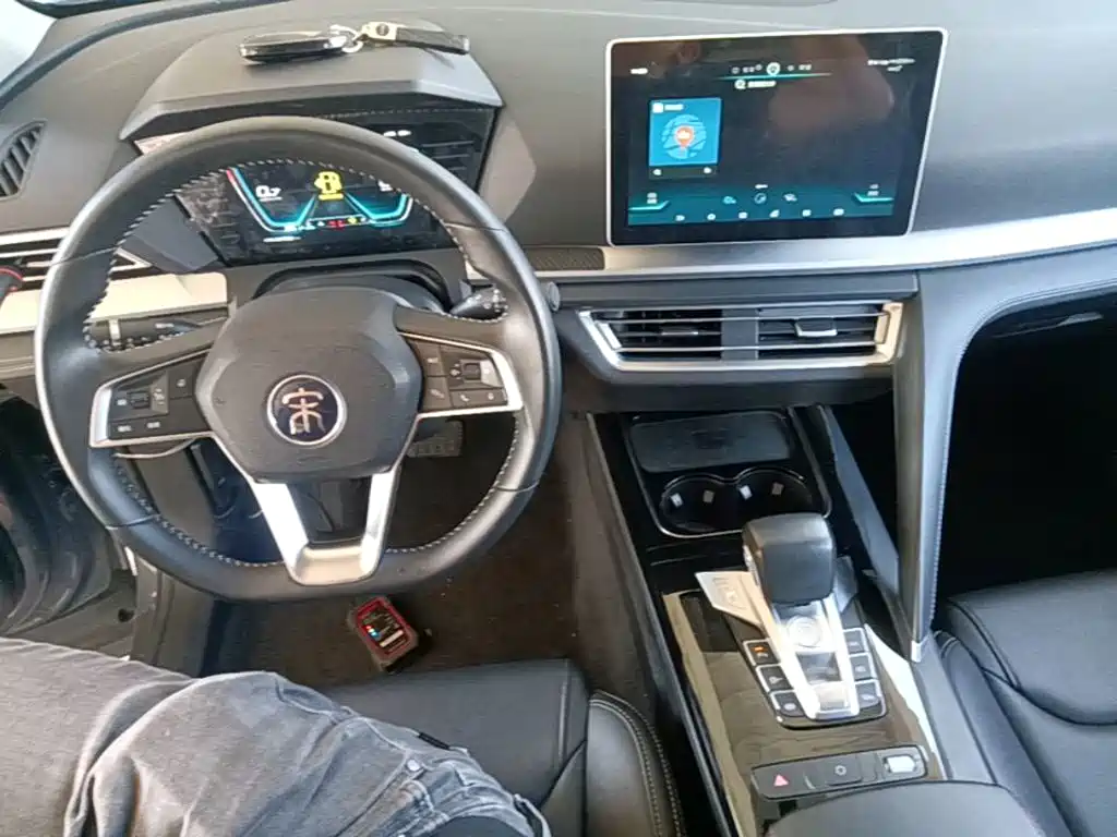 BYD Pro — миниатюра 10
