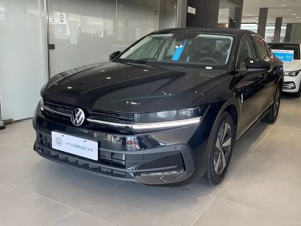 Volkswagen Magotan — миниатюра 2