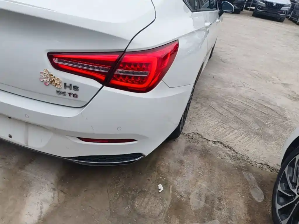 Hongqi Hongqi H5 — миниатюра 8