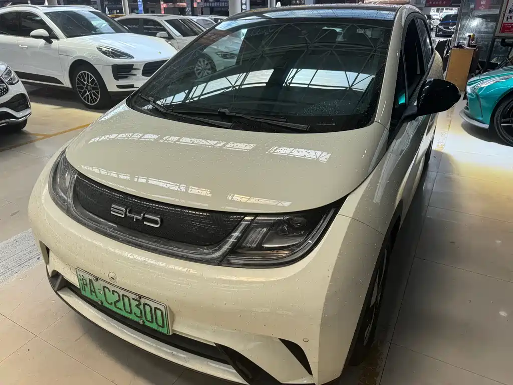 BYD Dolphin — миниатюра 3