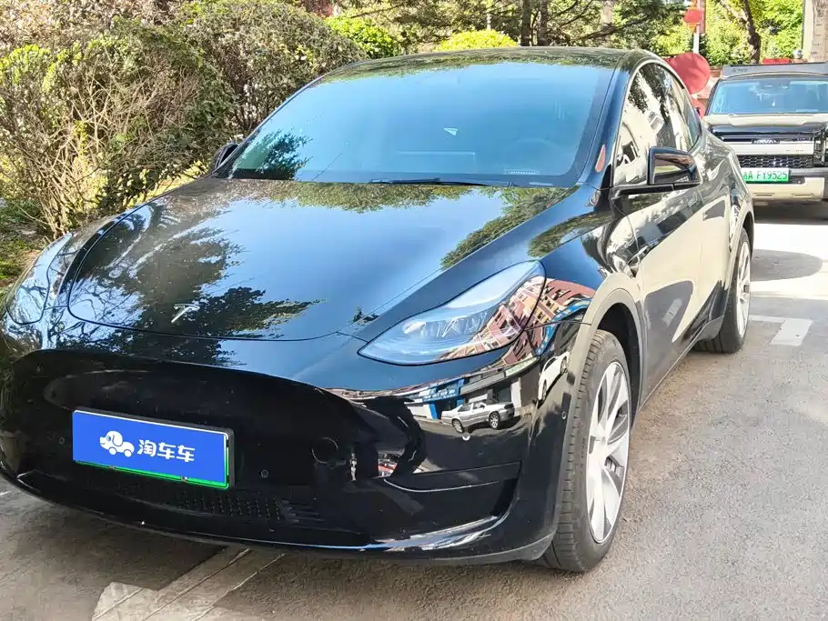 Tesla Model Y — миниатюра 2