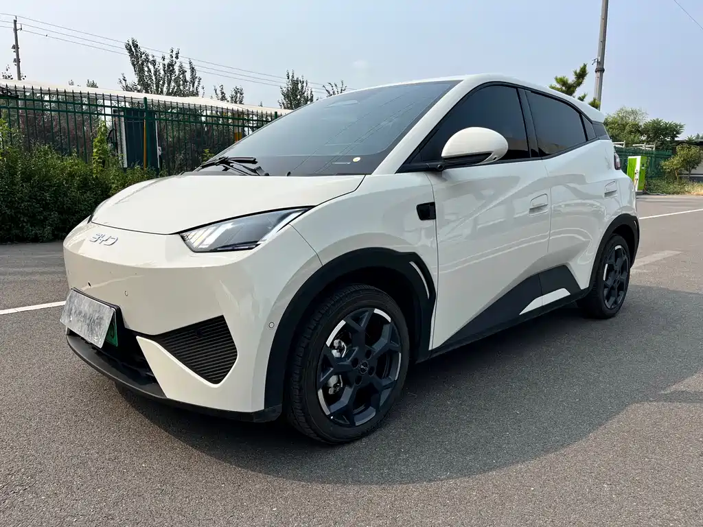 BYD Seagull