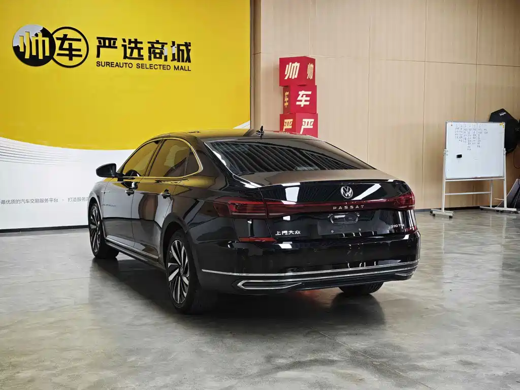 Volkswagen Passat — миниатюра 4