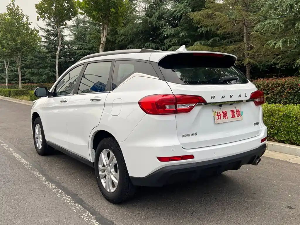 Haval M6 — миниатюра 16