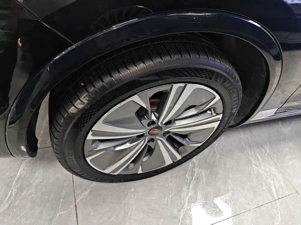 Hongqi Hongqi E-HS9 — миниатюра 23