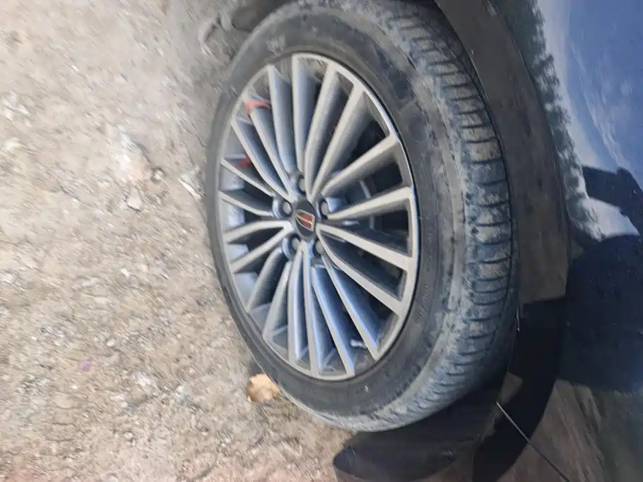 Hongqi Hongqi H9 — миниатюра 6