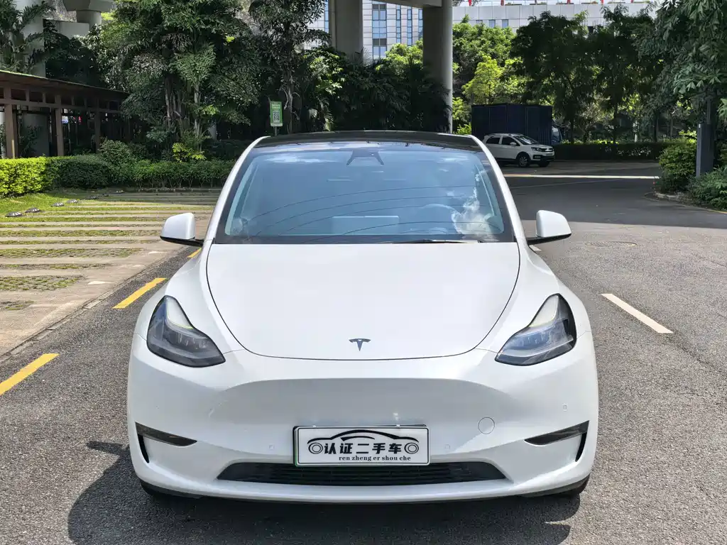Tesla Model Y — миниатюра 2