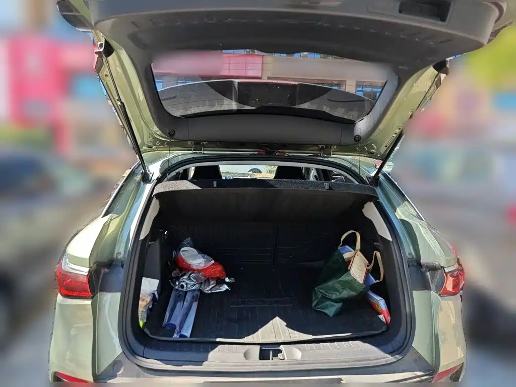 BYD Yuan Plus — миниатюра 15