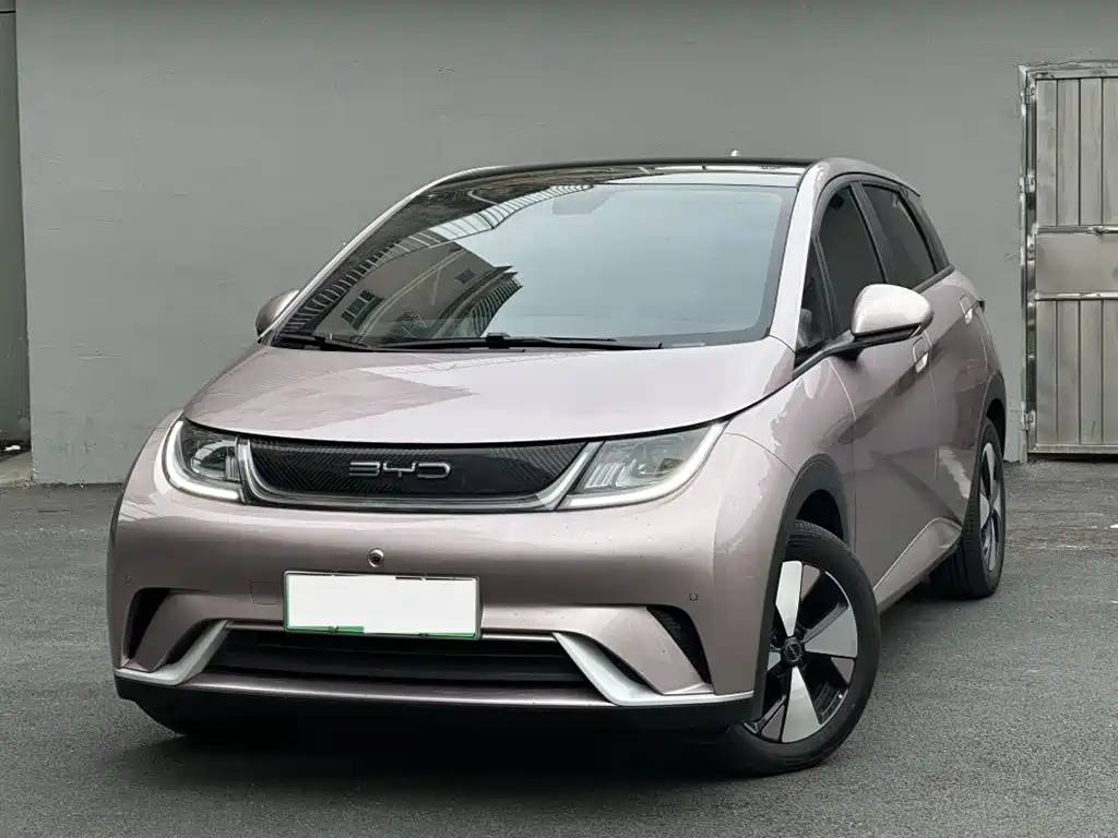 Byd Dolphin 2024