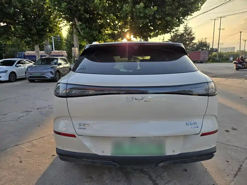 BYD Haisi 06 — миниатюра 7