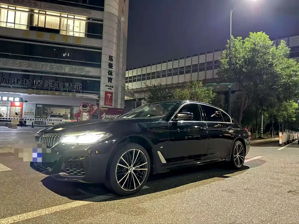 BMW 5 Series — миниатюра 2