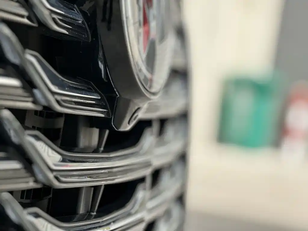 Buick GL8 — миниатюра 5