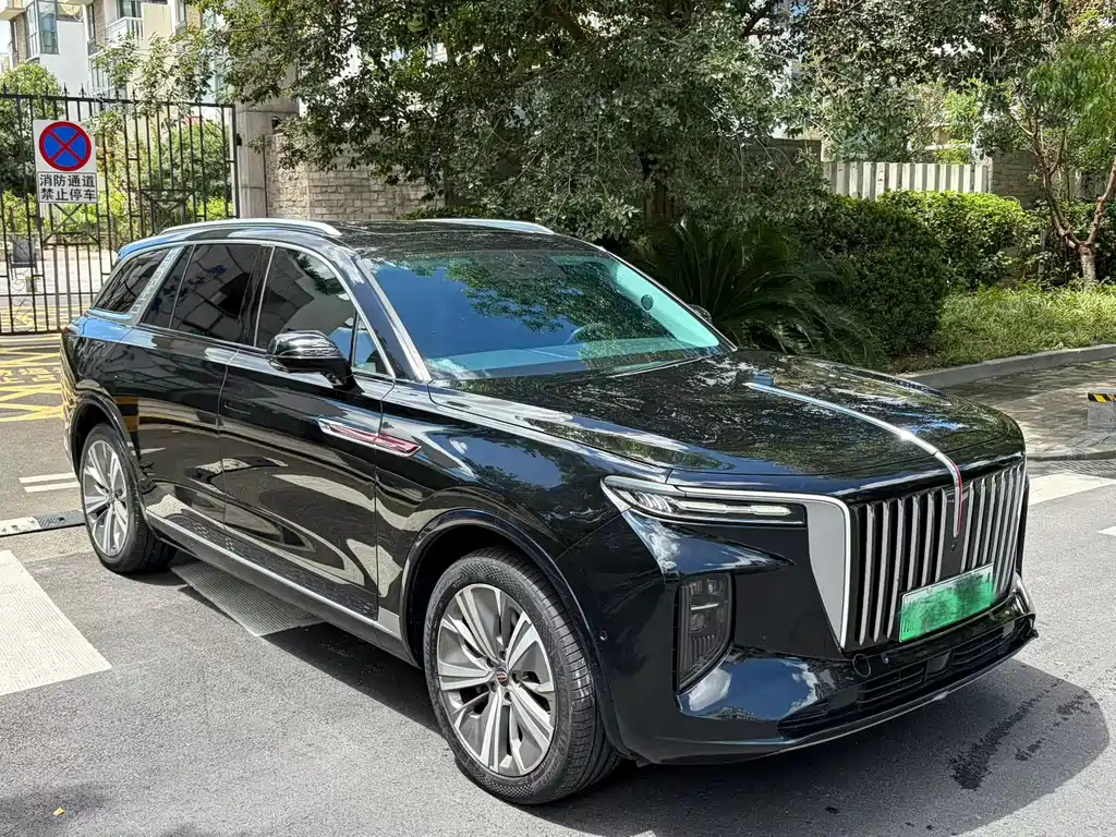 Hongqi Hongqi E-HS9 — миниатюра 3