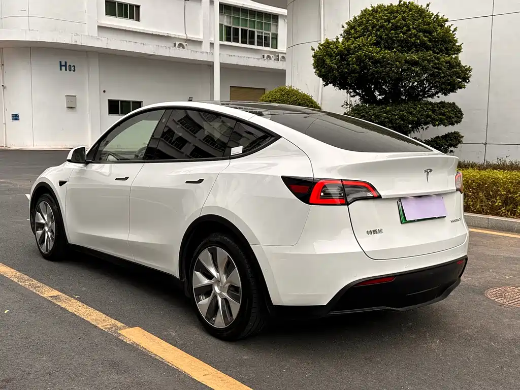 Tesla Model Y — миниатюра 4