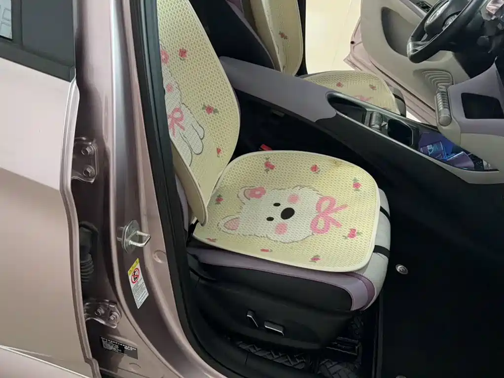 BYD Dolphin — миниатюра 10