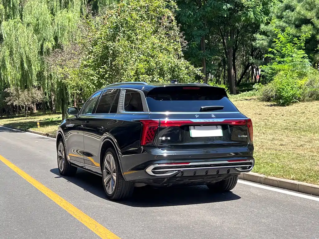 Hongqi Hongqi E-HS9 — миниатюра 8