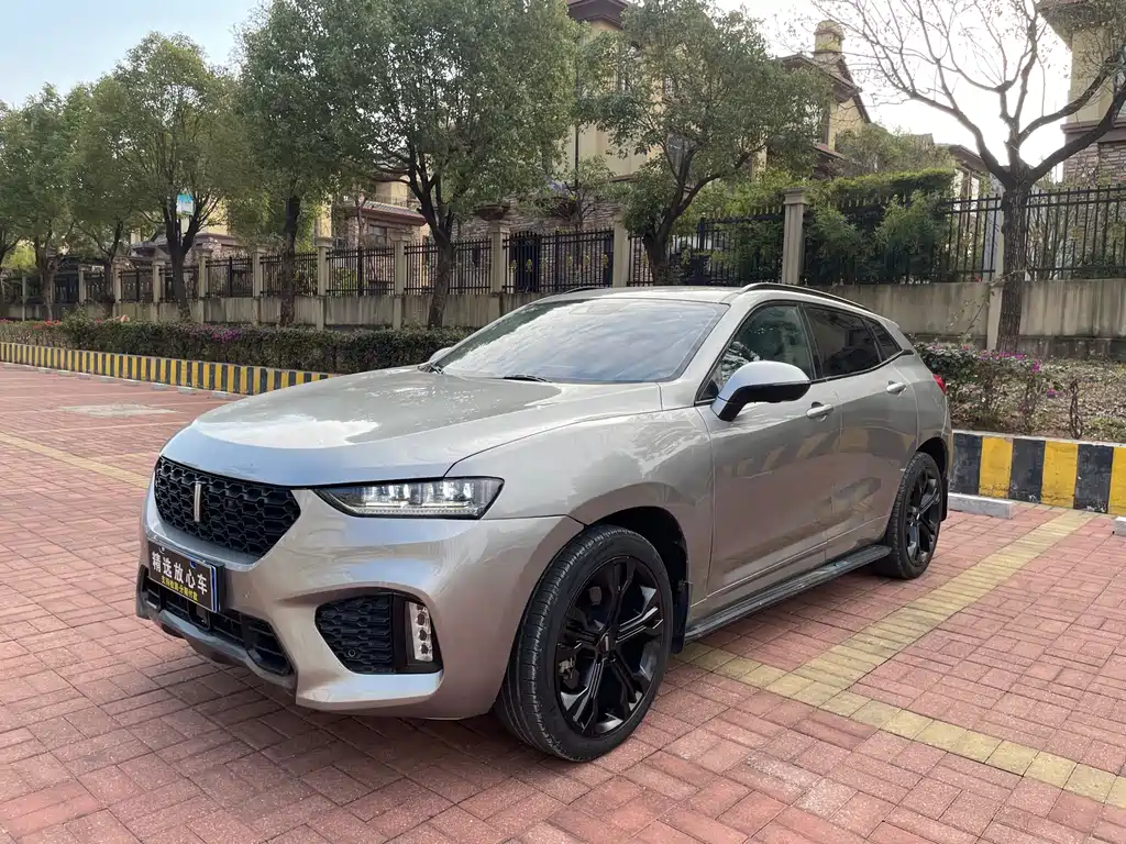 WEI PAI WEI BRAND VV7