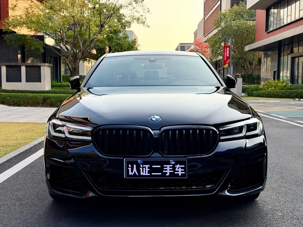 BMW 5 SERIES