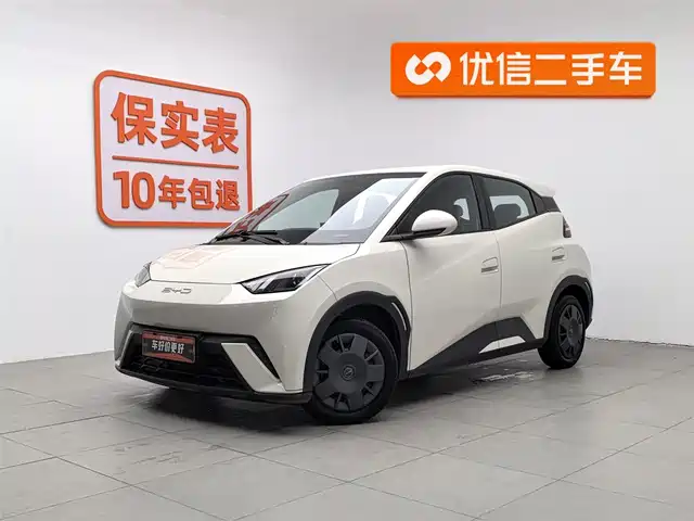 BYD SEAGULL 2024