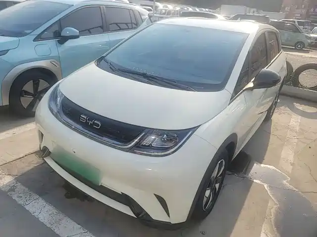 2024 BYD Dolphin
