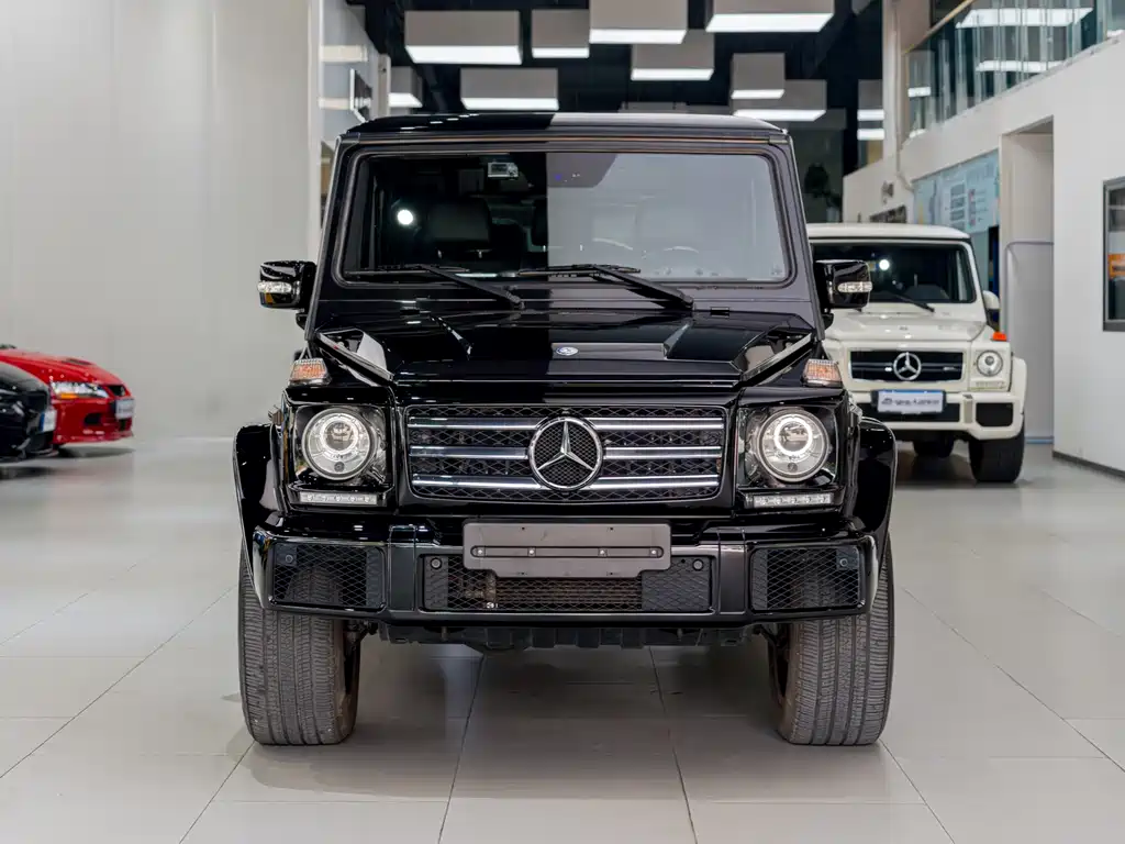 Mercedes-Benz G-Class G 2010 G 500