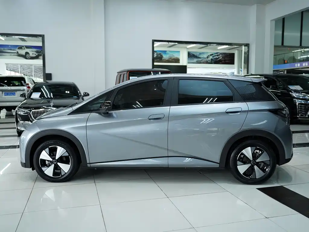 BYD Dolphin — миниатюра 3