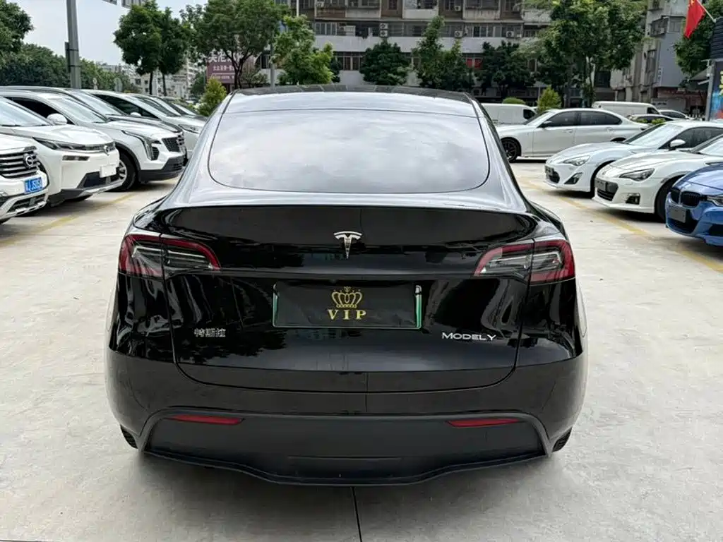 Tesla Model Y — миниатюра 6
