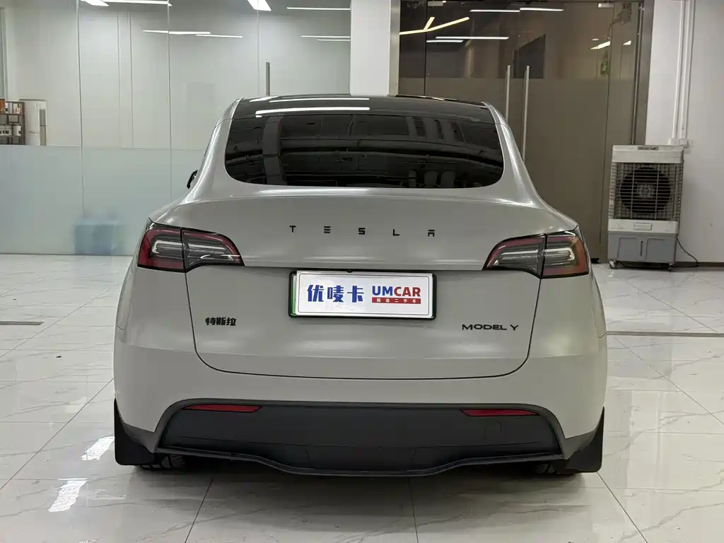 Tesla Model Y — миниатюра 5