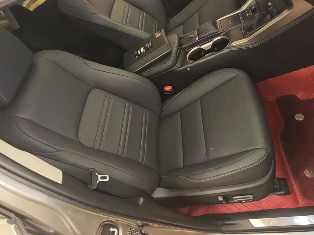 Lexus NX — миниатюра 25