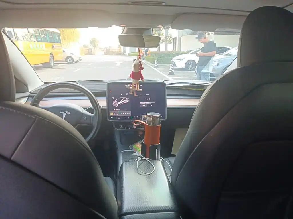 Tesla Model 3 — миниатюра 14