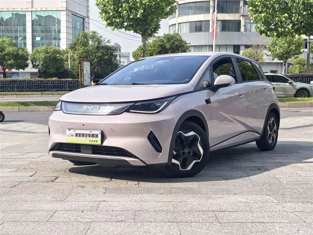 Byd Dolphin 2025