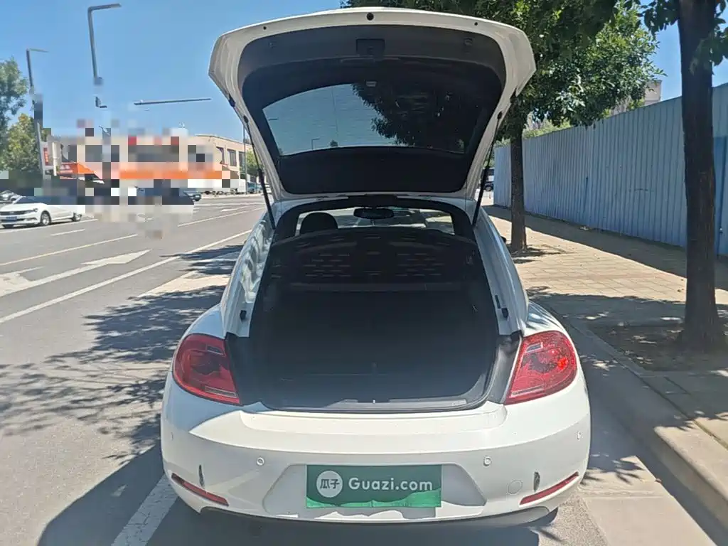 Volkswagen Beetle — миниатюра 19
