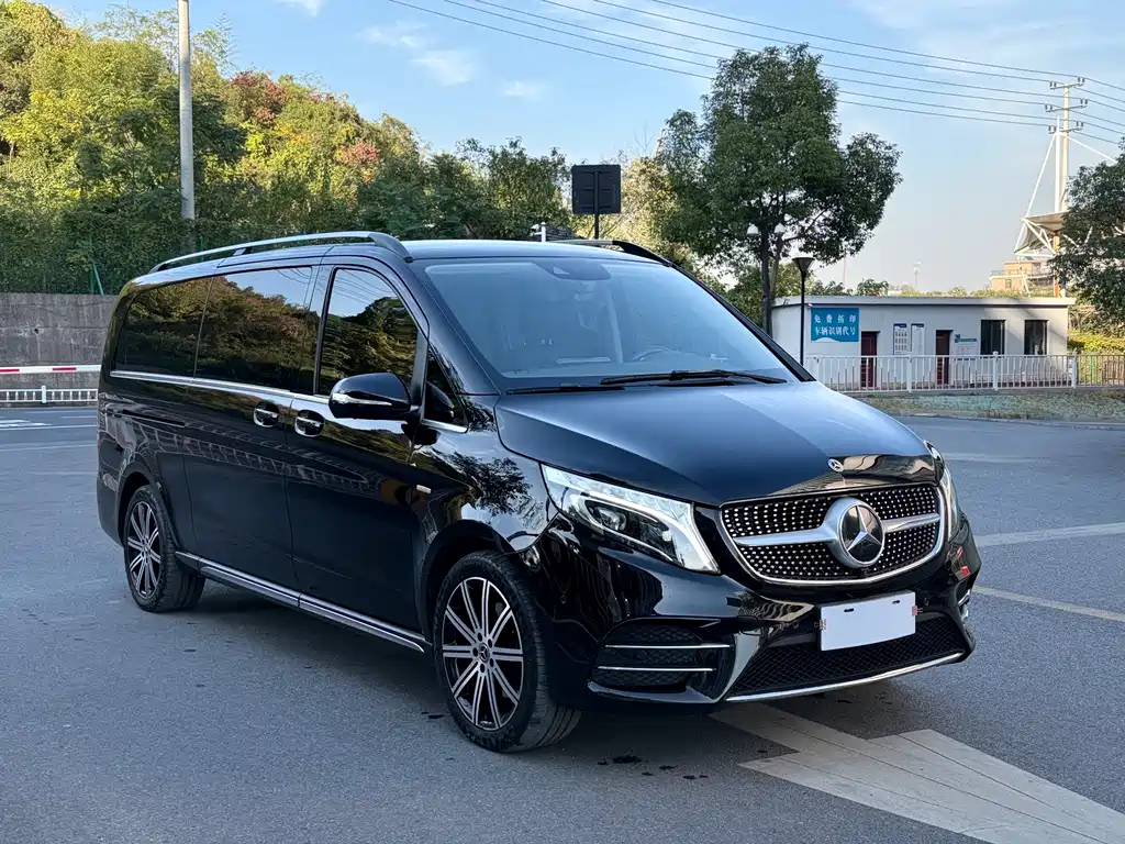 Mercedes-Benz V-Class V 260 L Long Wheelbase Luxury Edition, фото 3