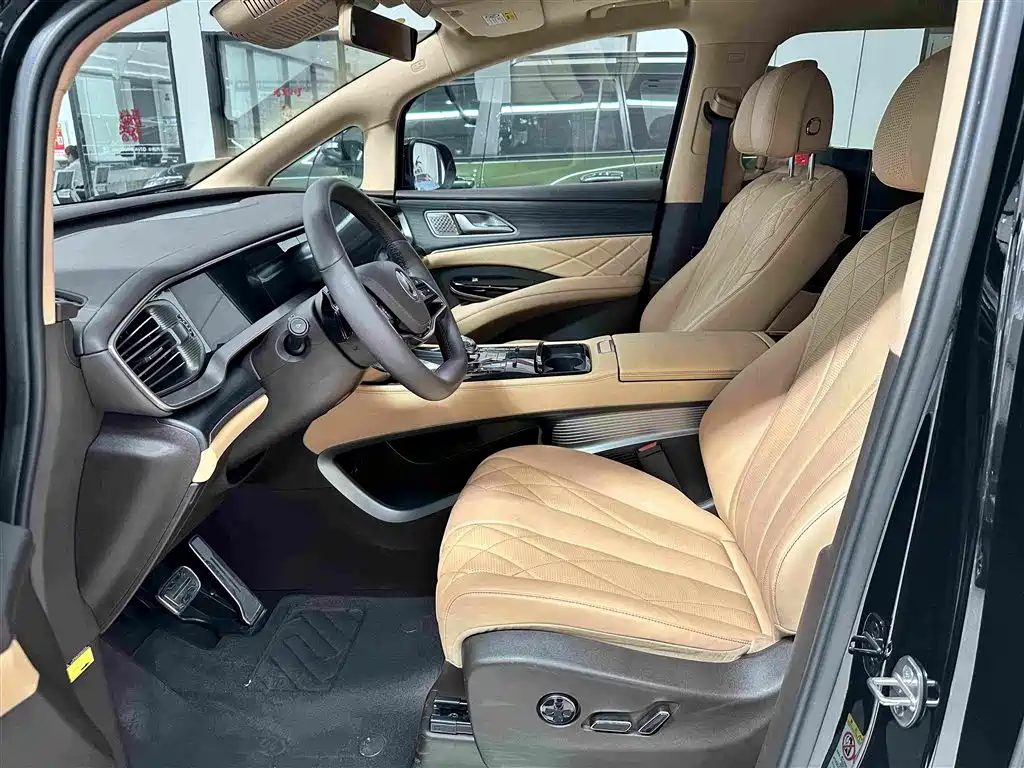 Denza Denza D9 — миниатюра 10