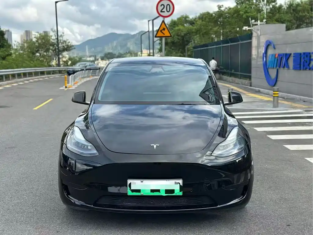 Tesla Model Y — миниатюра 2