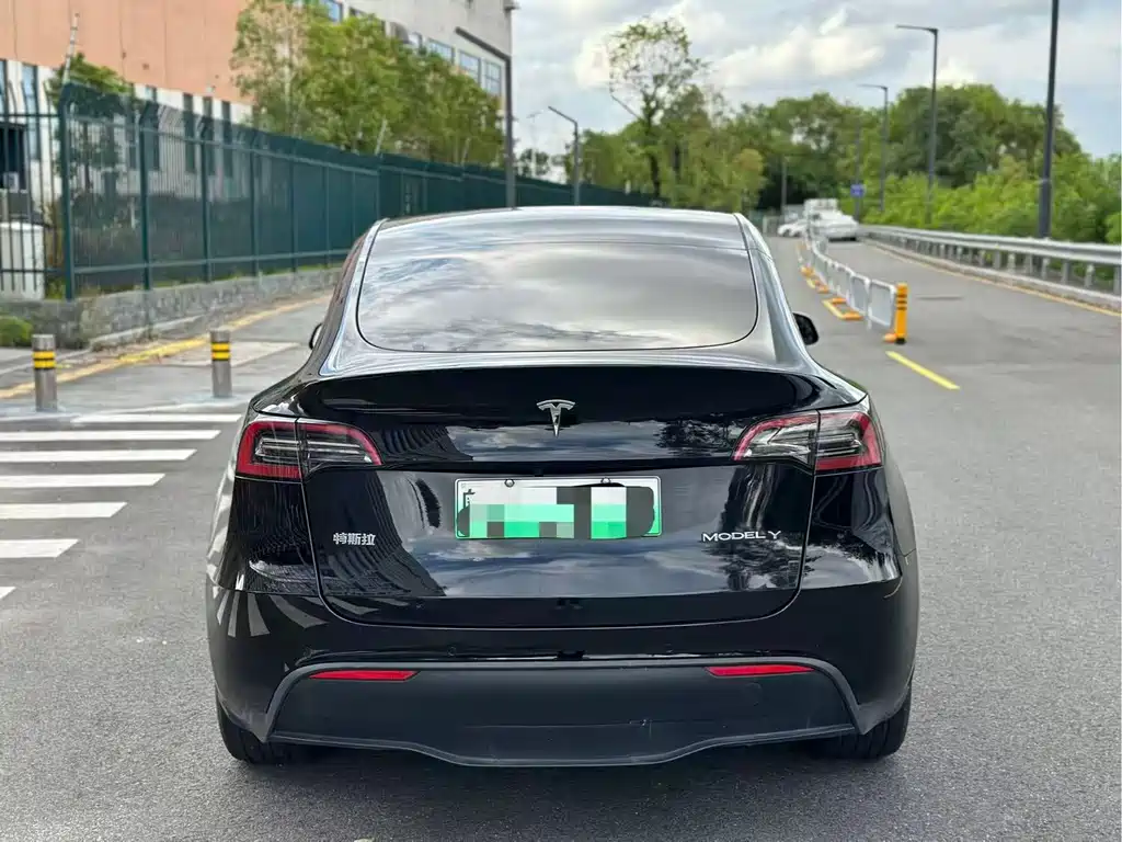 Tesla Model Y — миниатюра 8