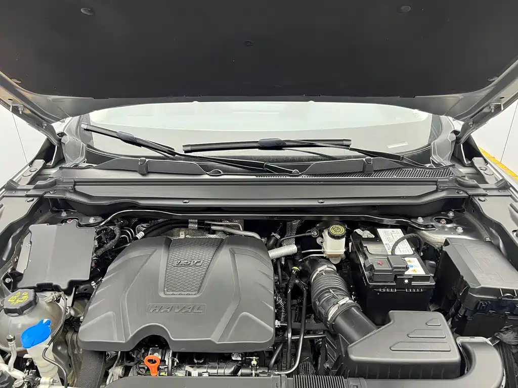 Haval Chitu — миниатюра 17
