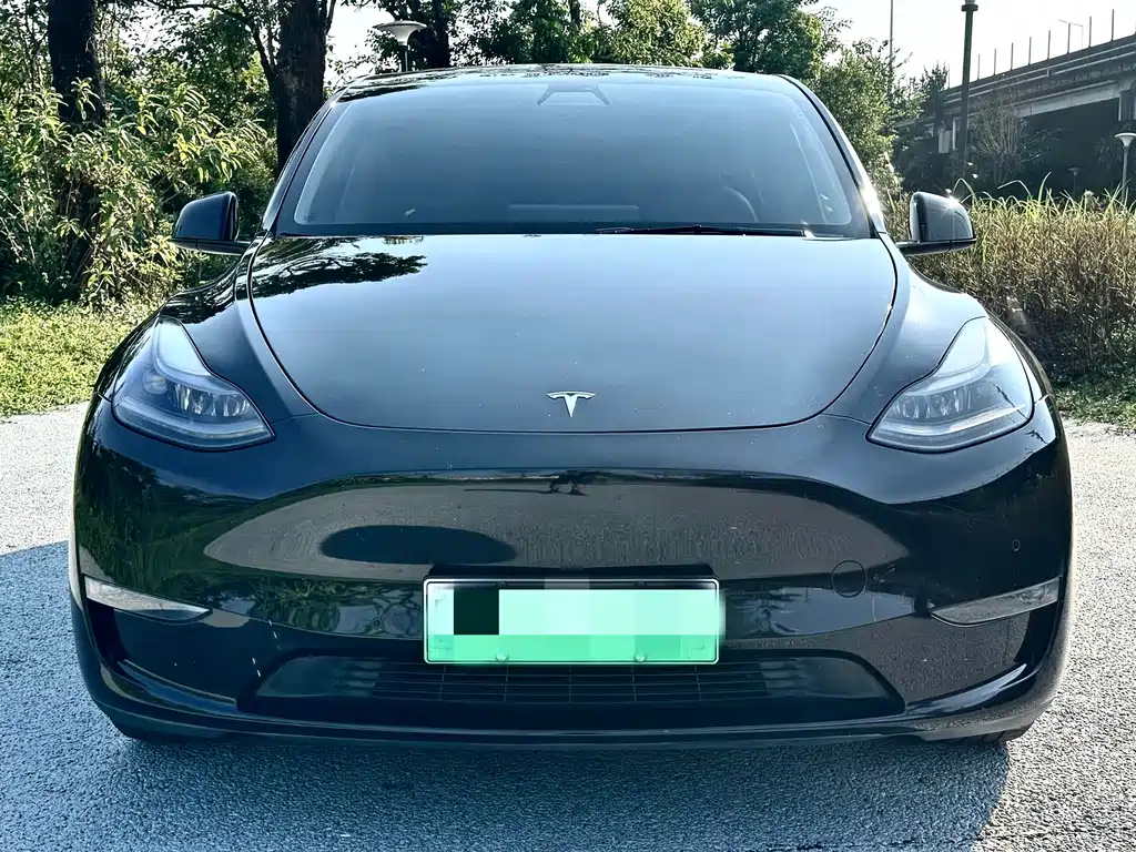 Tesla Model Y — миниатюра 2