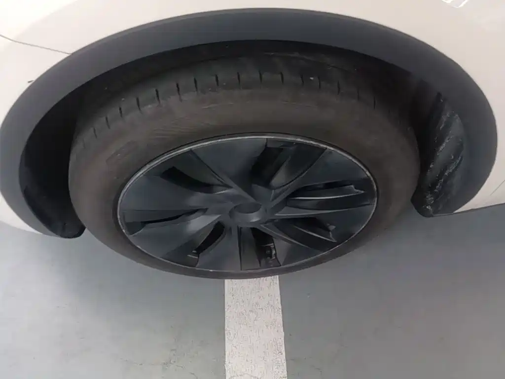 Tesla Model Y — миниатюра 23