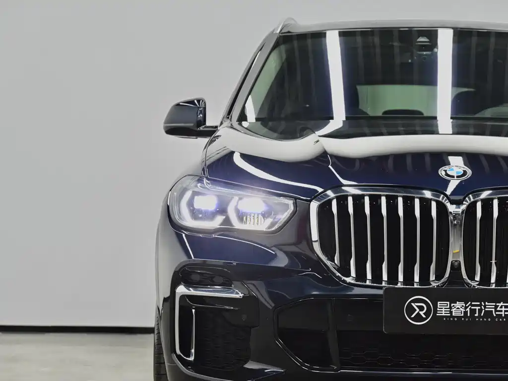 BMW X5 — миниатюра 31