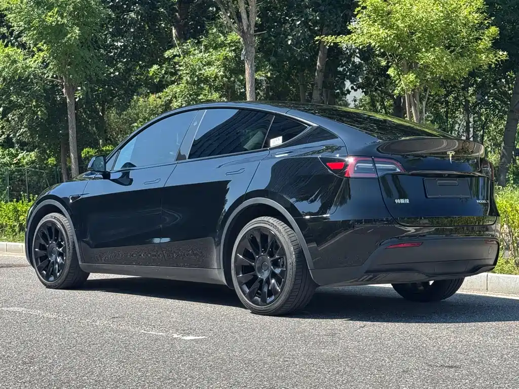 Tesla Model Y — миниатюра 4