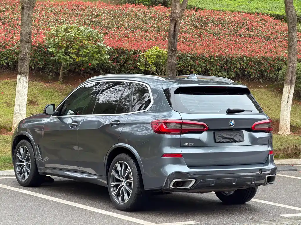 BMW X5 2020 xDrive30i M Sport