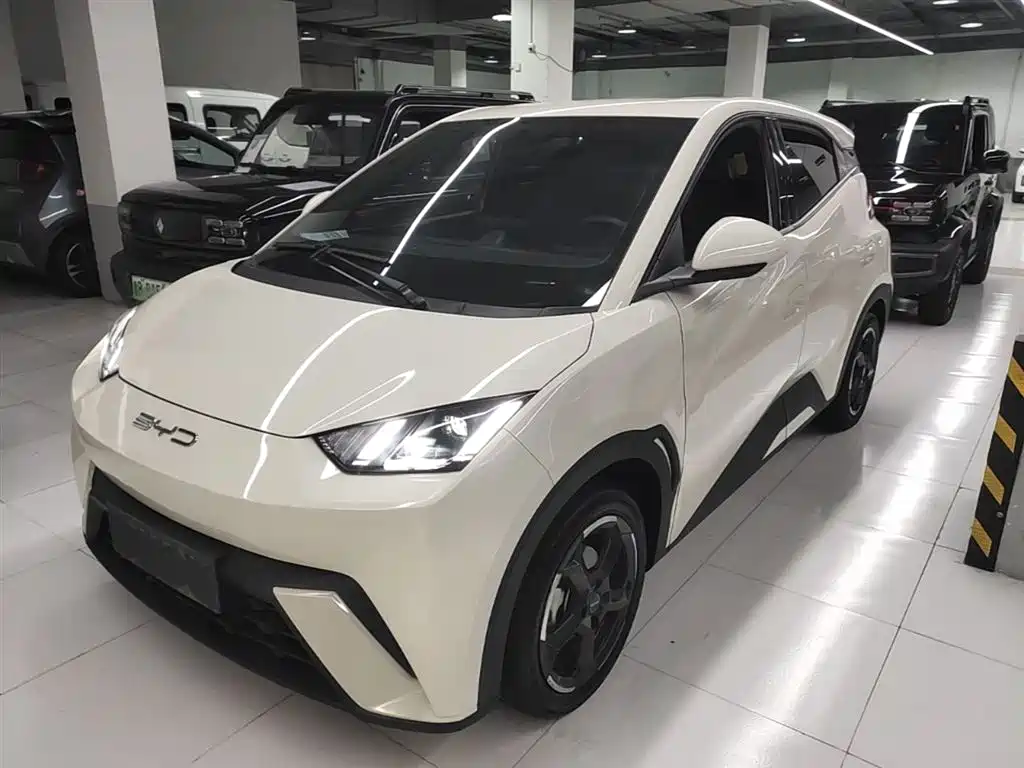 Byd Seagull 2023