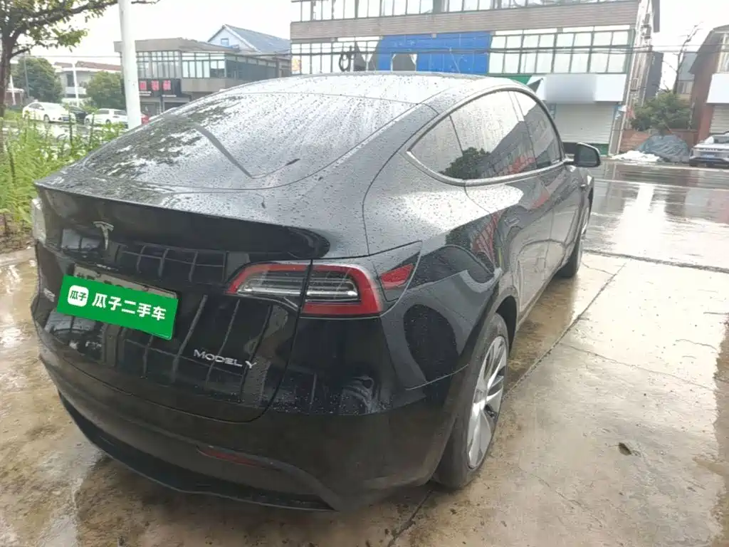 Tesla Model Y — миниатюра 7