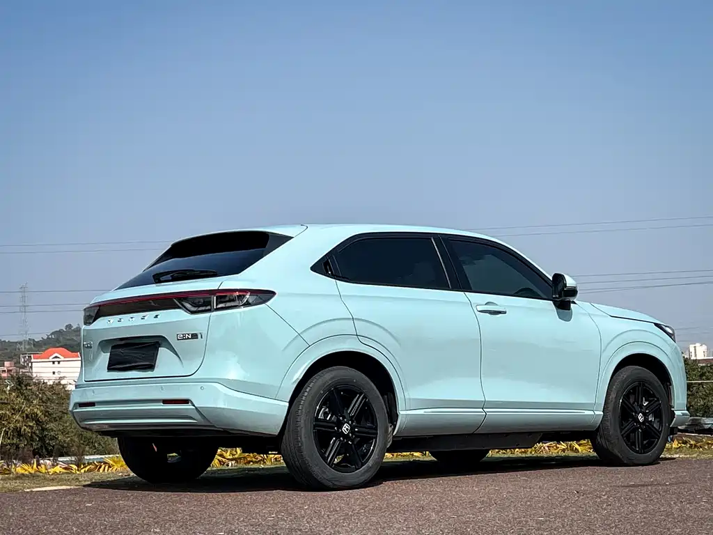 HONDA E: NP1 POLE PAI 1