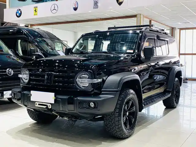 2021 TANK 300