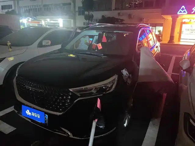 HAVAL M6