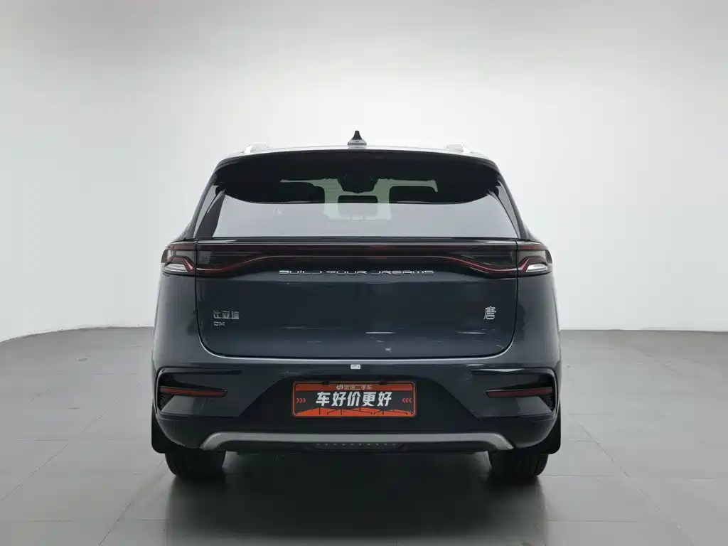 BYD Tang 2021 DM 2.0T Luxury
