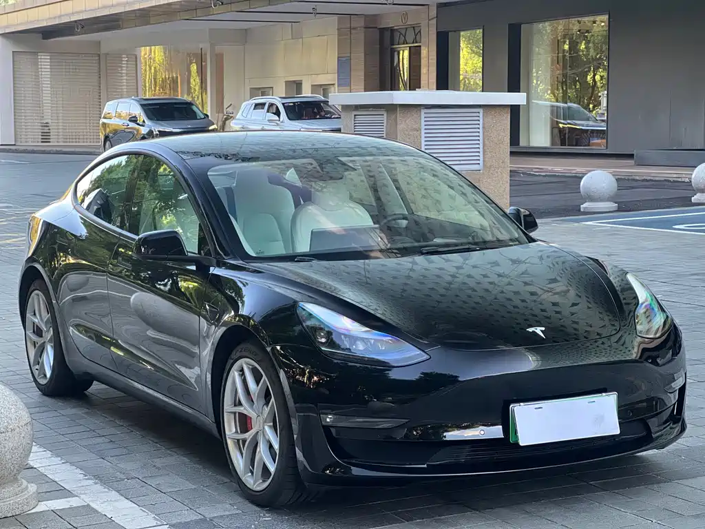 Tesla Model 3 — миниатюра 3